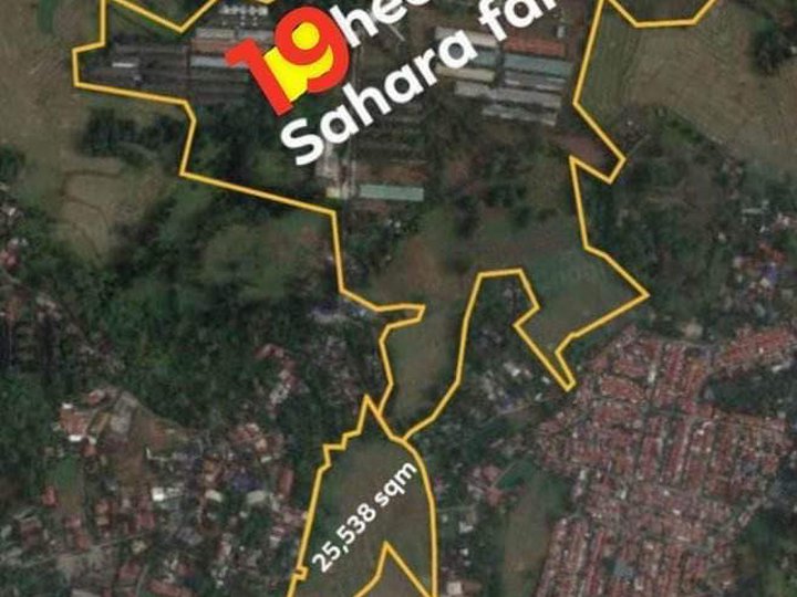 2.5 hectares Lot For Sale in San Vicente