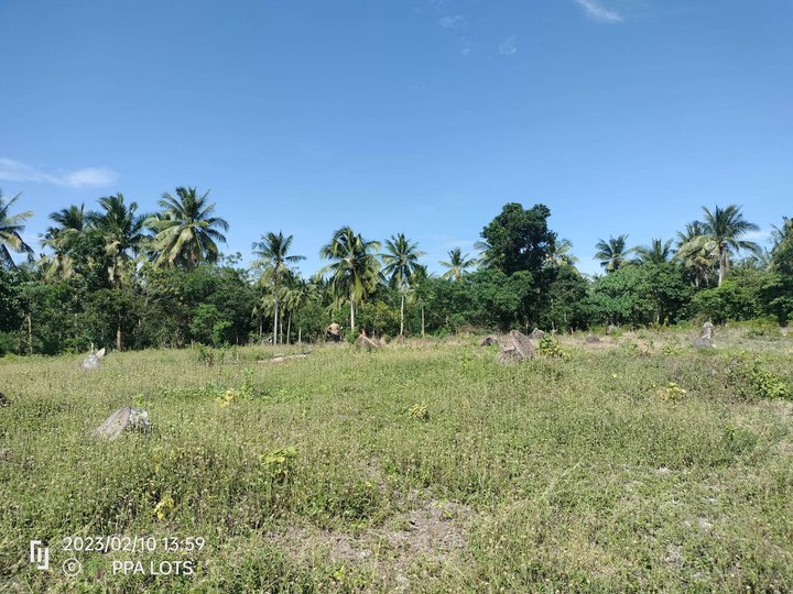 80 sqm Residential Farm For Sale in San Juan Batangas with amenities