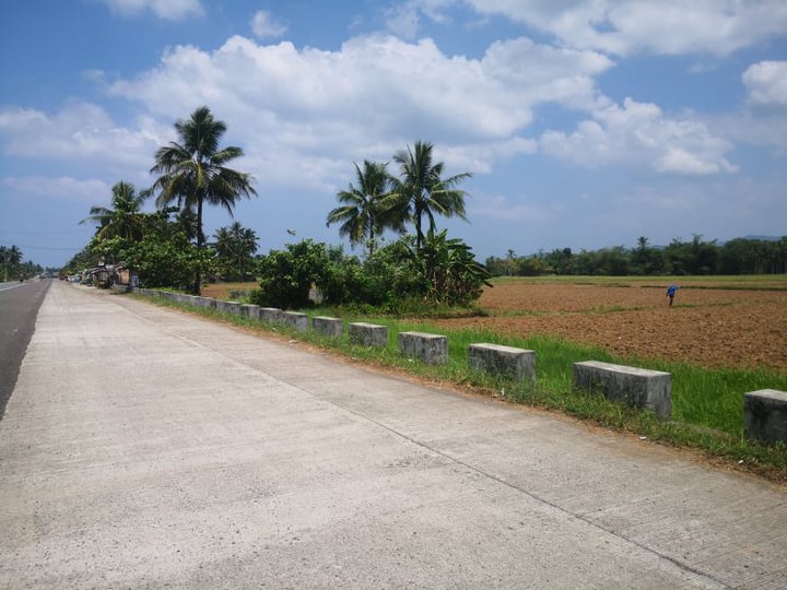 15000 sqm Along National Highway in Balocawe Abuyog Leyte