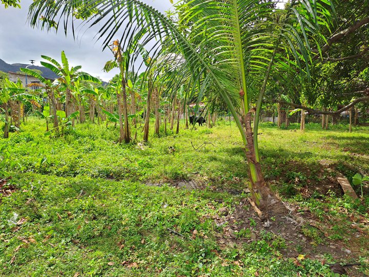 1.2 hectares Agricultural Farm For Sale in Pililla Rizal