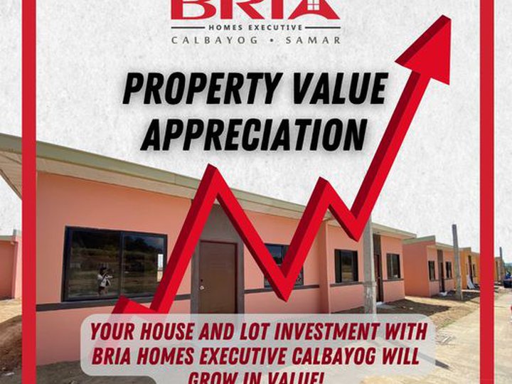 Price Appreciation @ Bria Homes Calbayog
