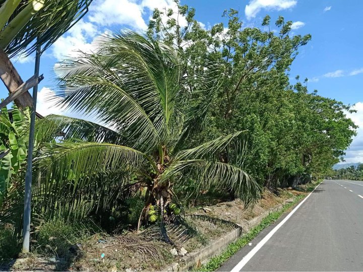 1.08 hectares Lot For Sale in National Highway Kawas, Alabel Sarangani
