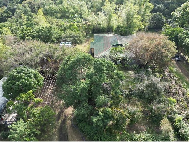 14 hectares Residential Farm For Sale in Binangonan Rizal