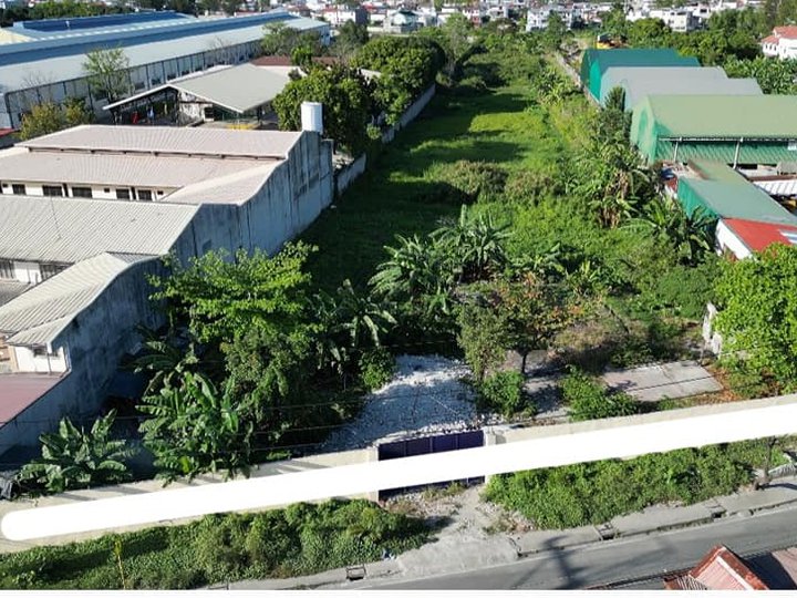 1 hectare Commercial Lot For Sale