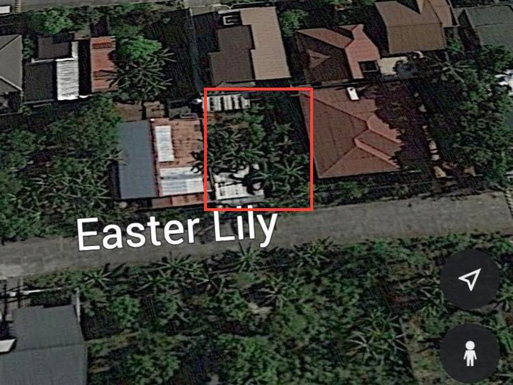 240sqm residential lot for sale in Caloocan, Metro Manila