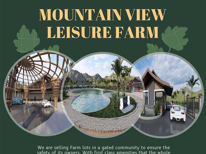 mountainview leisure farm farm lot for sale property in batangas