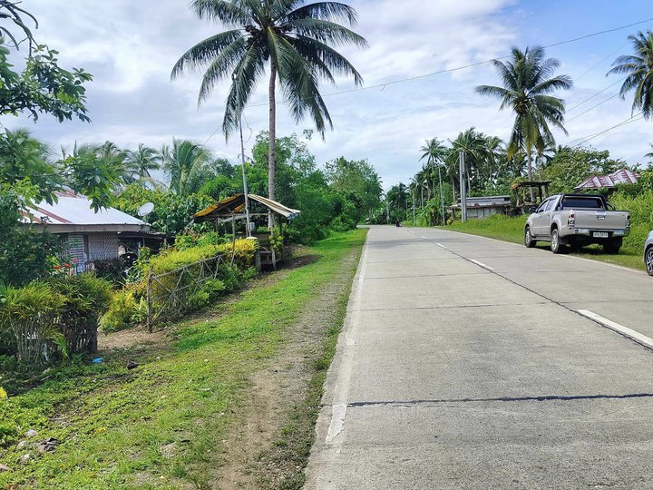 7.9 hectares clean title at 300/sqm nego , along highway Carmen Bohol