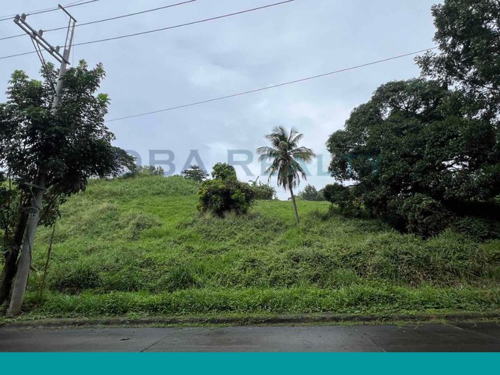472sqm & 488sqm Two Adjacent Vacant Lot For Sale in Eastland Heights