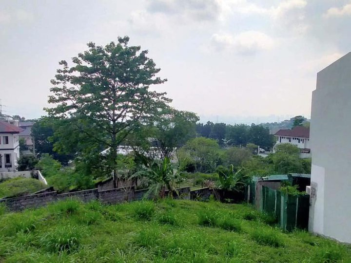 418 sqm Residential Lot For Sale in Taytay Rizal