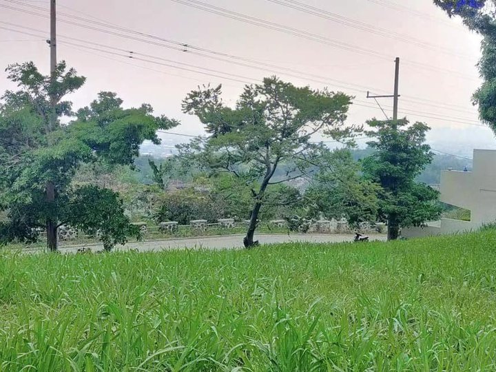 380 sqm Residential Lot For Sale in Taytay Rizal