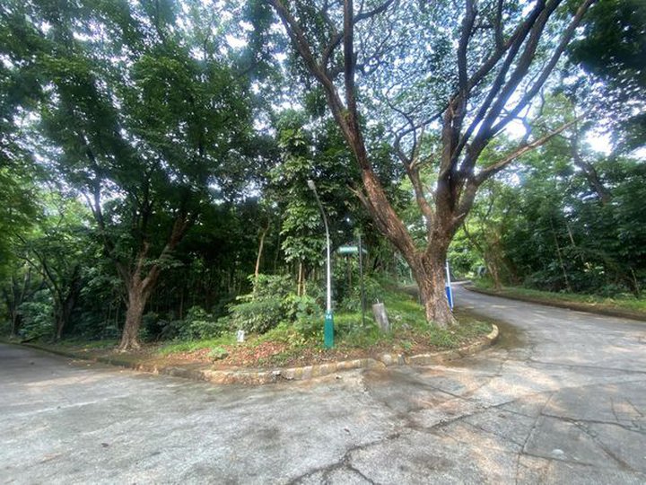 RESIDENTIAL CORNER LOT FOR SALE Town Country Estates, Antipolo Rizal