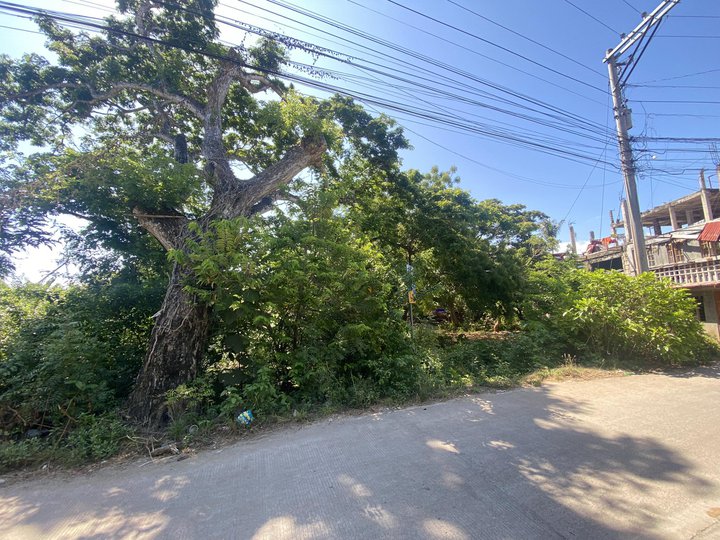 COMMERCIAL LOT FOR SALE AT DANAO, PANGLAO, BOHOL