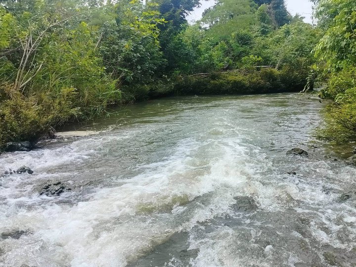 21 hectares titled River front farm lot at Catigbian Bohol 120/sqm