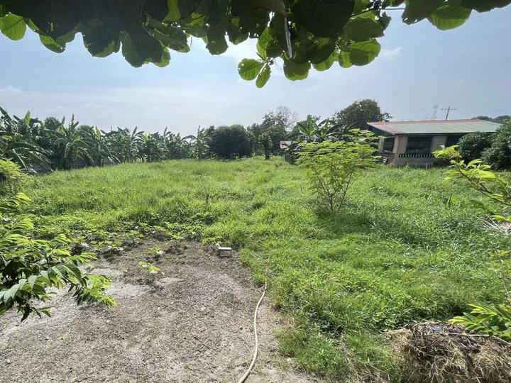 1,000 sqm Agricultural Farm For Sale in Magalang Pampanga