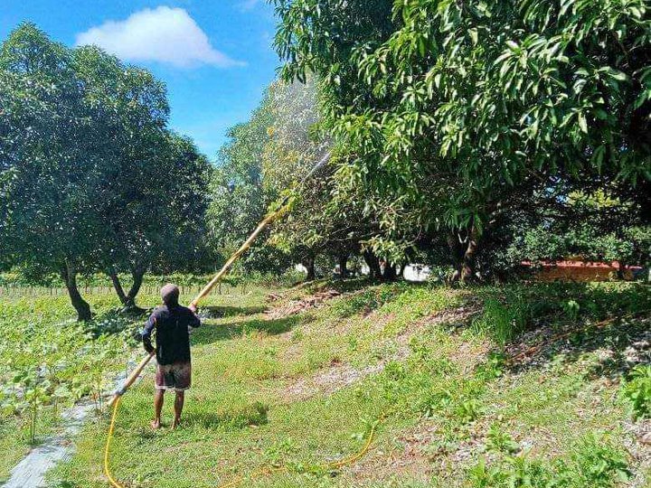 Agricultural Farm for Sale in Bulacan [Lot 🚜] (September 2023) in San