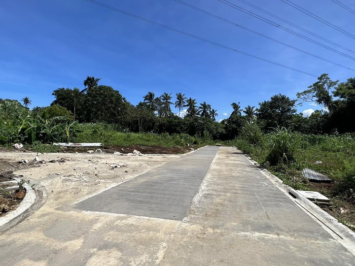 150sqm Residential Farm Lot for sale in Mendez near Tagaytay