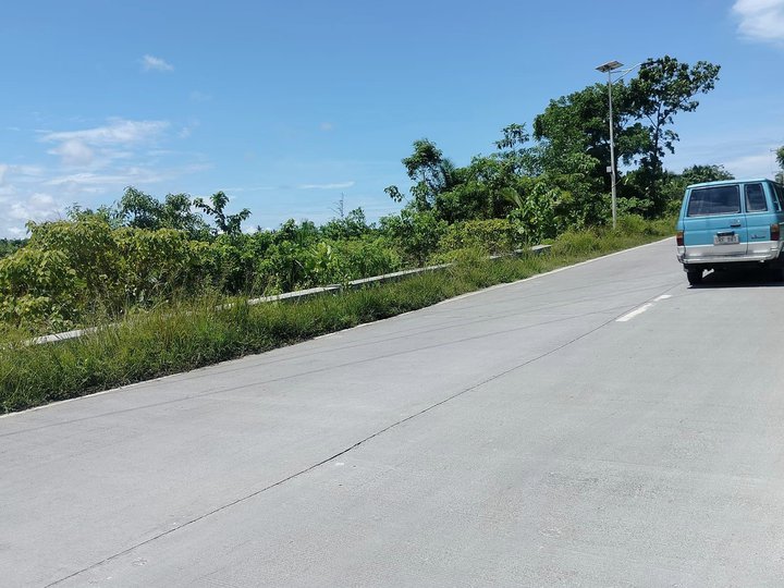 3.6 hectares title expandable up 10 has more Tagbilaran City3,500/sqm