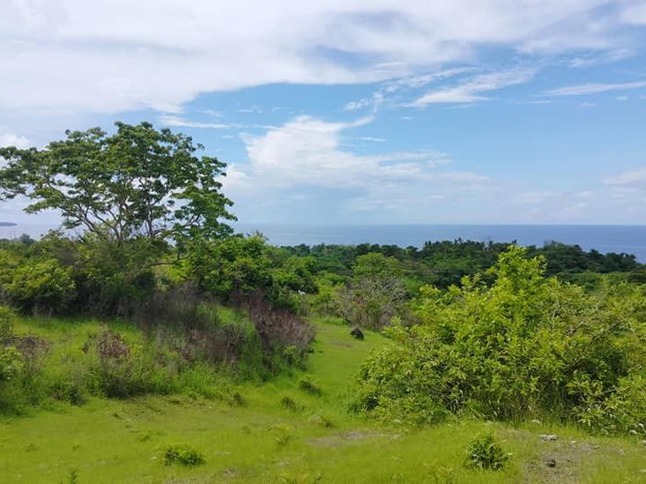 16,000 sqm seaview lot for sale 120/sqm negotiable