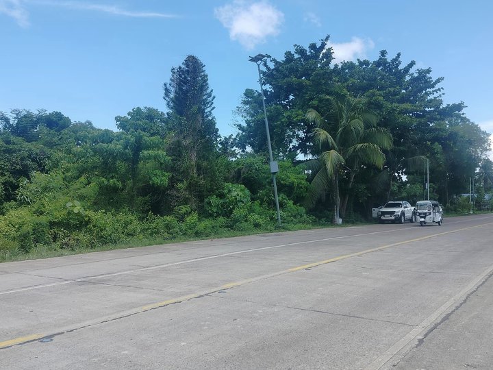 Commercial lot for sale,  back to back  frontage near  Panglao airport