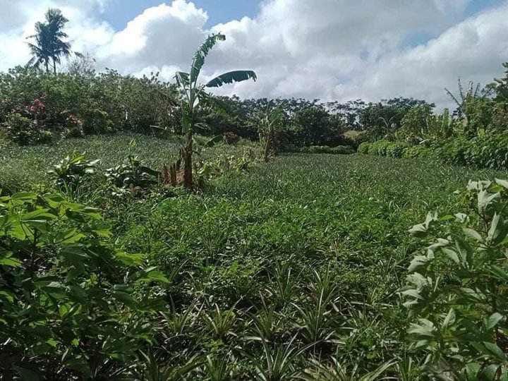 1,386 sqm Residential Farm For Sale By Owner in Silang Cavite