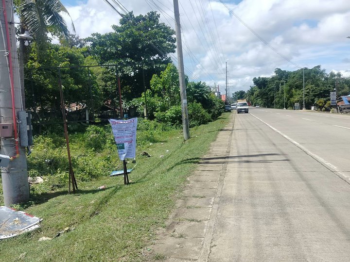 1,000 sqm clean title commercial lot for sale  H.way Panglao Island12m