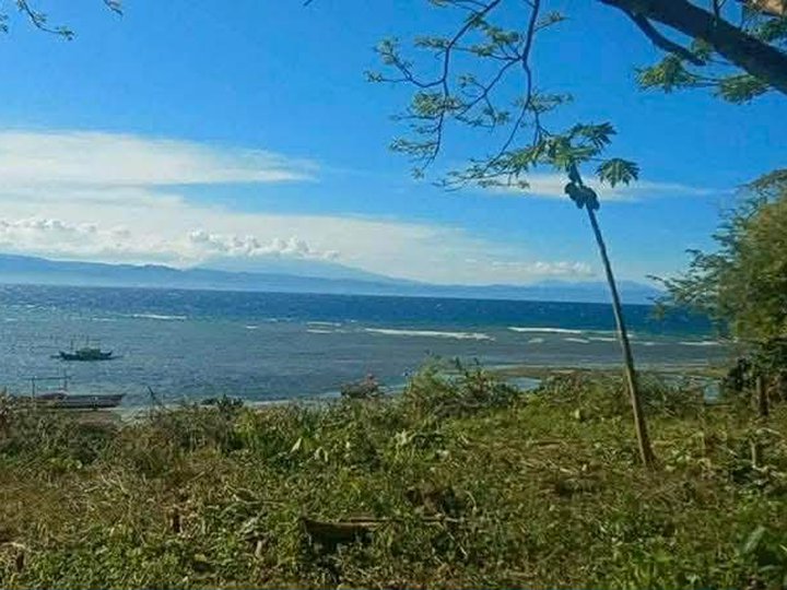 Ready to build your Dream House with a sea-view 1,369 sqm Beach Property For Sale in Dumanjug Cebu