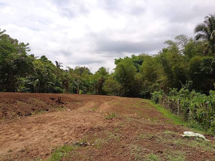 Residential farm lot with good  location