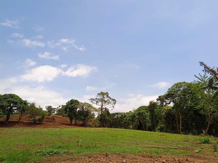 Residential farm lot for sale with good location