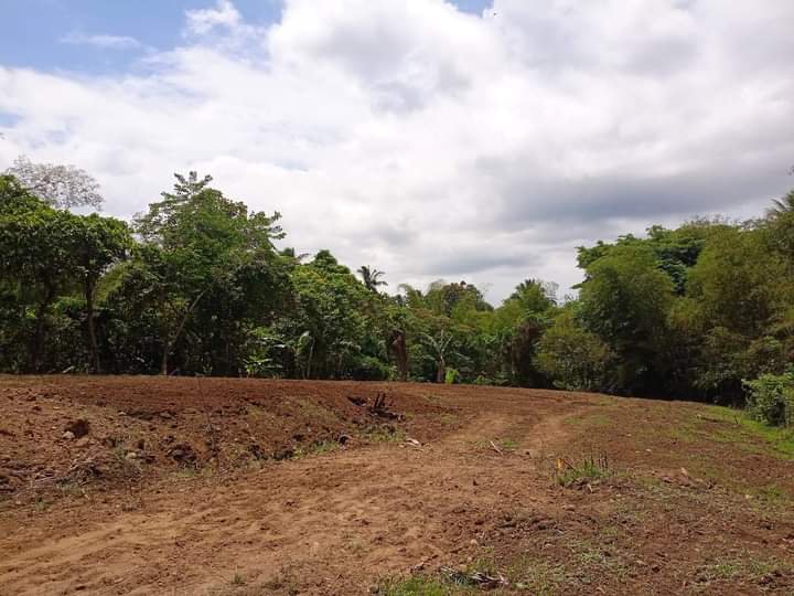Residential farm lot with cold weather near Tagaytay
