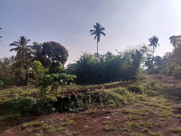 Residential farm lot for sale with good amenities