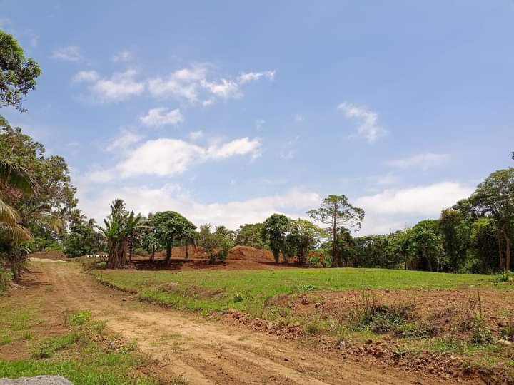 Residential Farm for sale most saleable in Alfonso Cavite