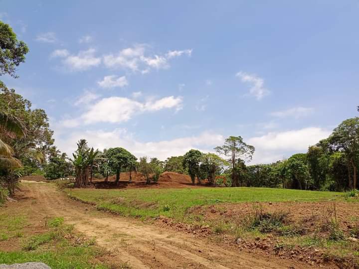 Residential farm lot  for sale near Tagaytay with cool climate