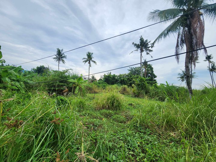 Land for sale in Babag Lapu-lapu City Cebu