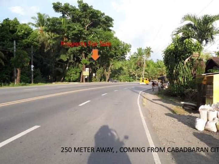 4,246 sqm Commercial Lot For Sale By Owner in Cabadbaran Agusan del Norte