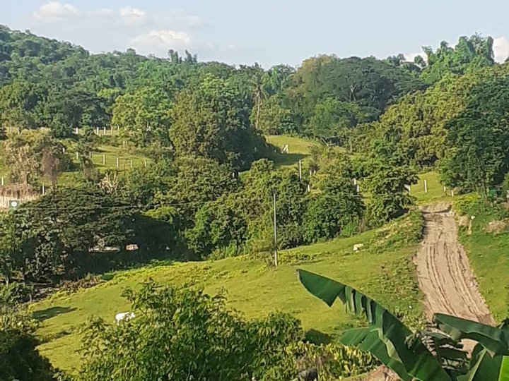 877 sqm Residential Prime Lot For Sale in Nasugbu Batangas [Lot 🚜