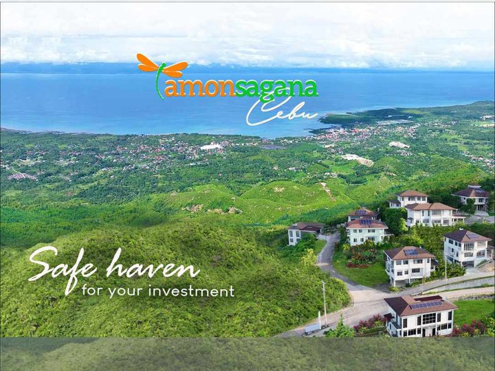 Pre-Selling 521 sqm Residential Lot For Sale in Balamban Cebu