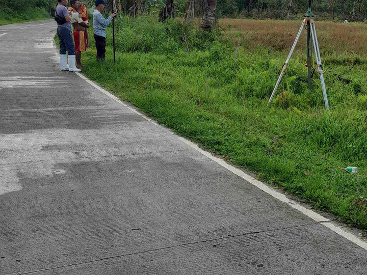 500 sqm Flat Terrain Residential Farm For Sale in Catigbian Bohol