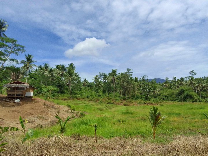 6.89 Hectares Agricultural Farm for Sale in Sison Surigao del Norte