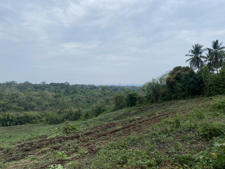farm lot in tanay rizal