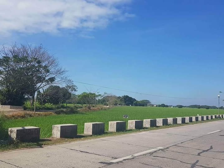 40 Hectares Lot for Sale in San Simon Pampanga Lots, Lands, and Farms