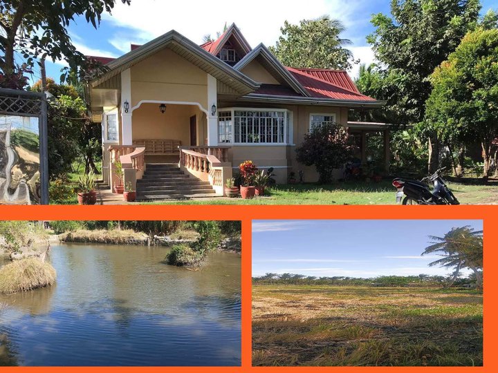 1.6 hectares Farm Lot For Sale By Owner in San Juan Batangas