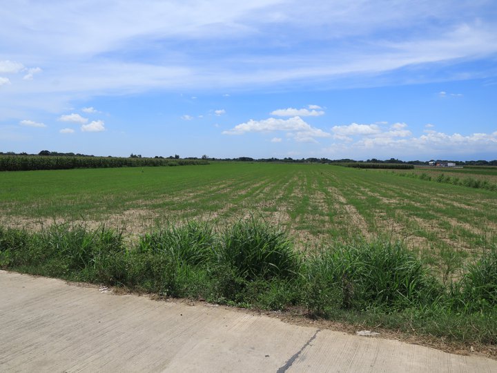 2.18 hectares Lot For Sale in Villasis, Pangasinan