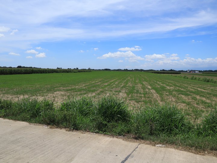 2.18 Hectares Lot For Sale in Villasis, Pangasinan