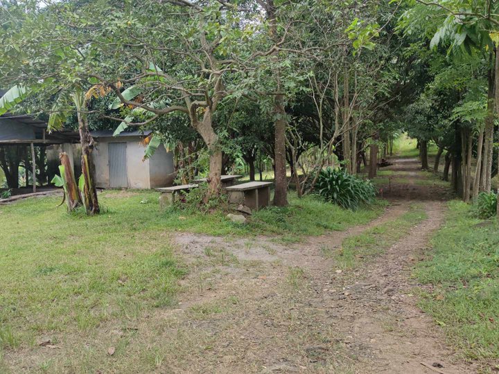 1,000 sqm Agricultural Farm For Sale in Norzagaray Bulacan