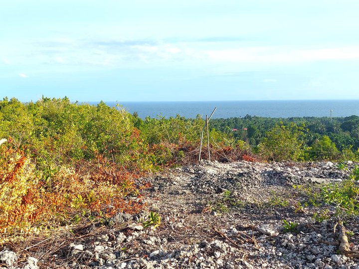 Overlooking Lot with Seaview in Dauis Bohol