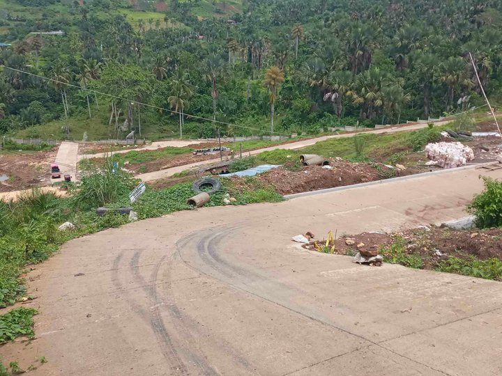 Lot Only Subdivision in Cambitas Babag, Cebu City