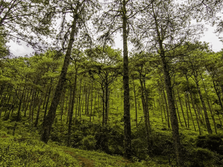 PRIME COMMERCIAL LOT!