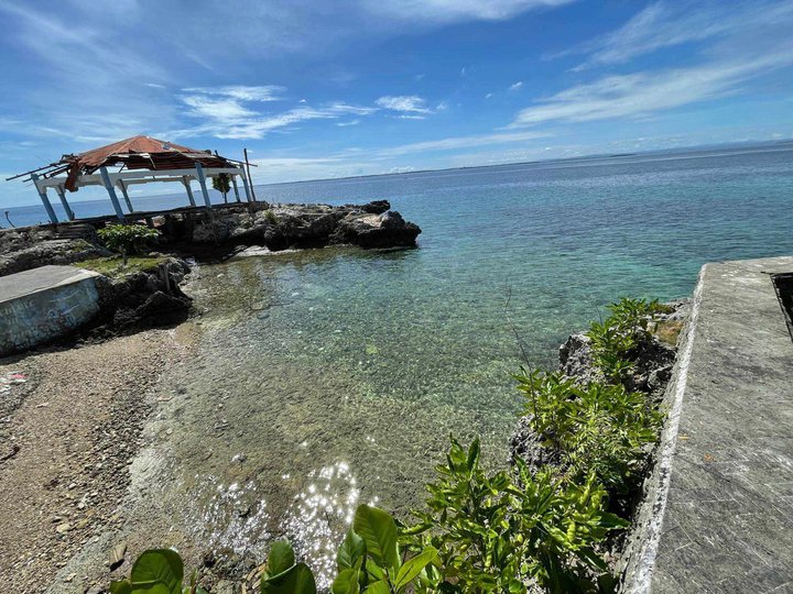 7,602 sqm Beach Property For Sale in Mactan Lapu-Lapu Cebu