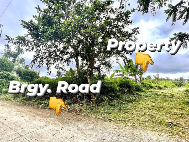 400 sqm RESI-FARM IN INDANG CAVITE - installment with NO INTEREST