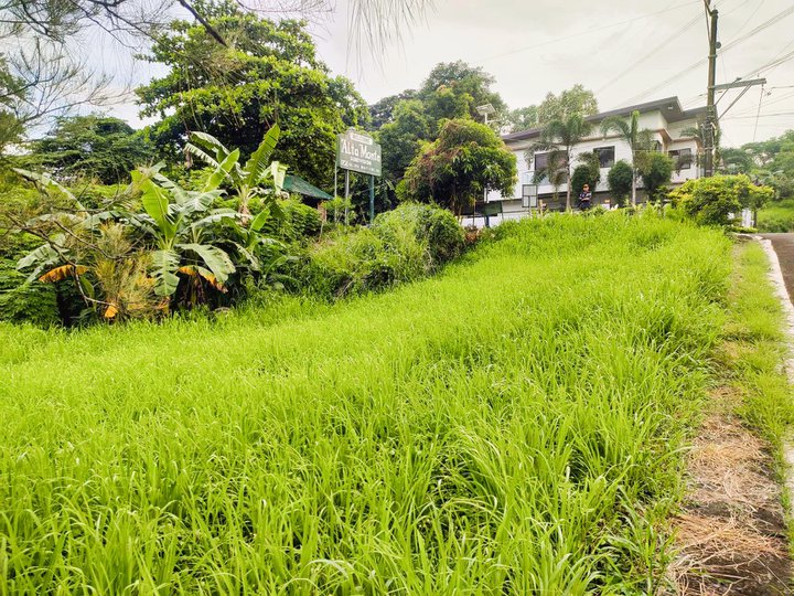 200 sqm Residential Lot For Sale in Taytay Rizal